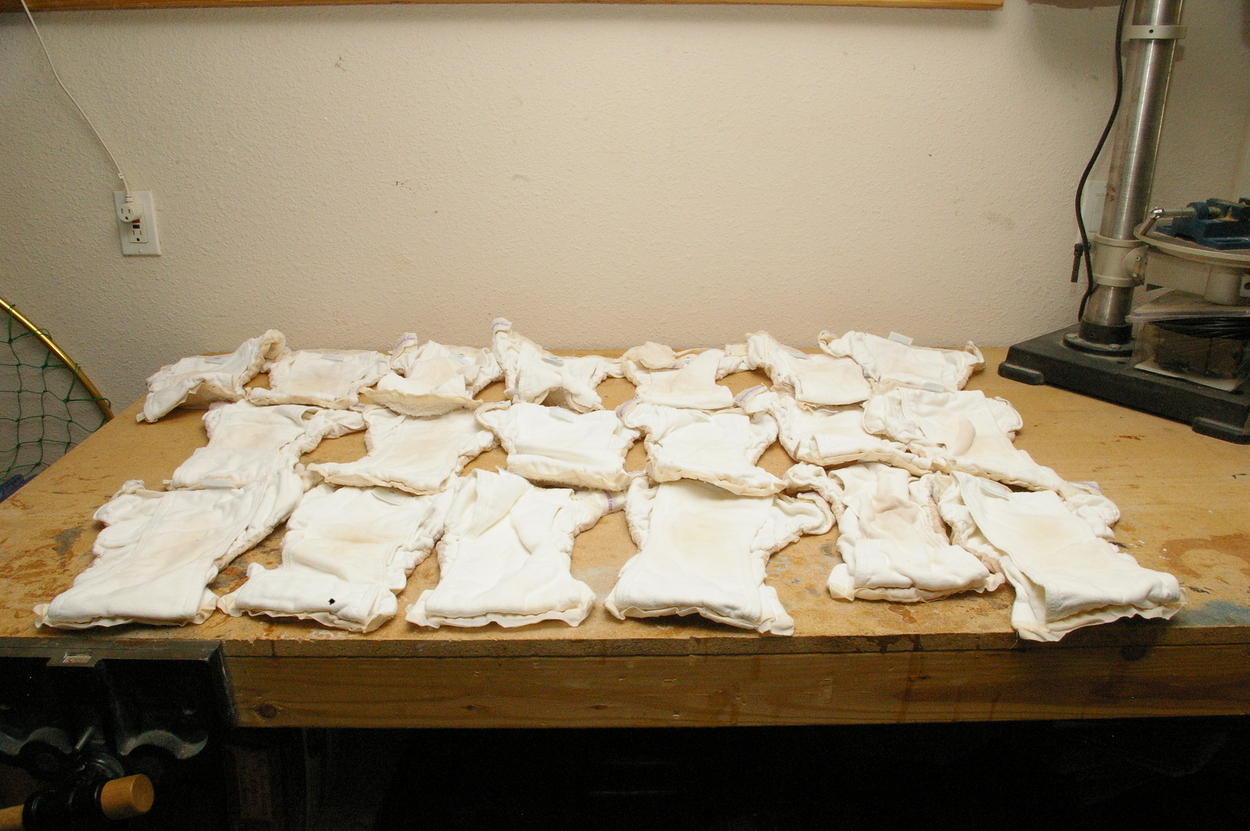 Bumkins cloth diapers
19 medium sized
Inside view
$95 for the set