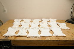 Bumpkins cloth diapers
16 small sized
Inside view
$80